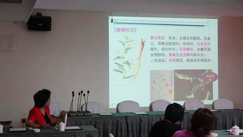 北京企业技术开发研究会 推动技术创新，打造先进集体典范